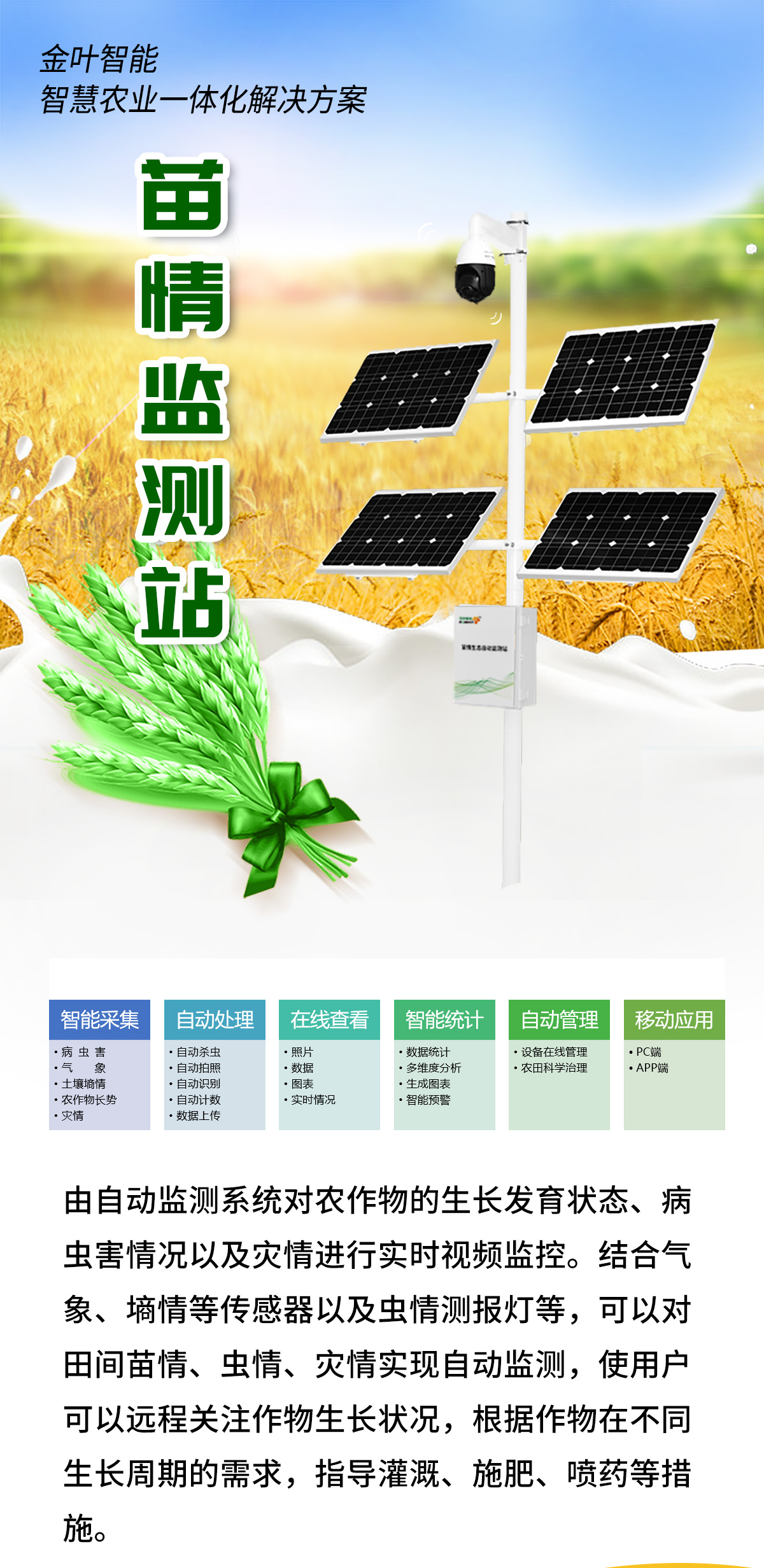 1757573516781328.jpg m_01.jpg