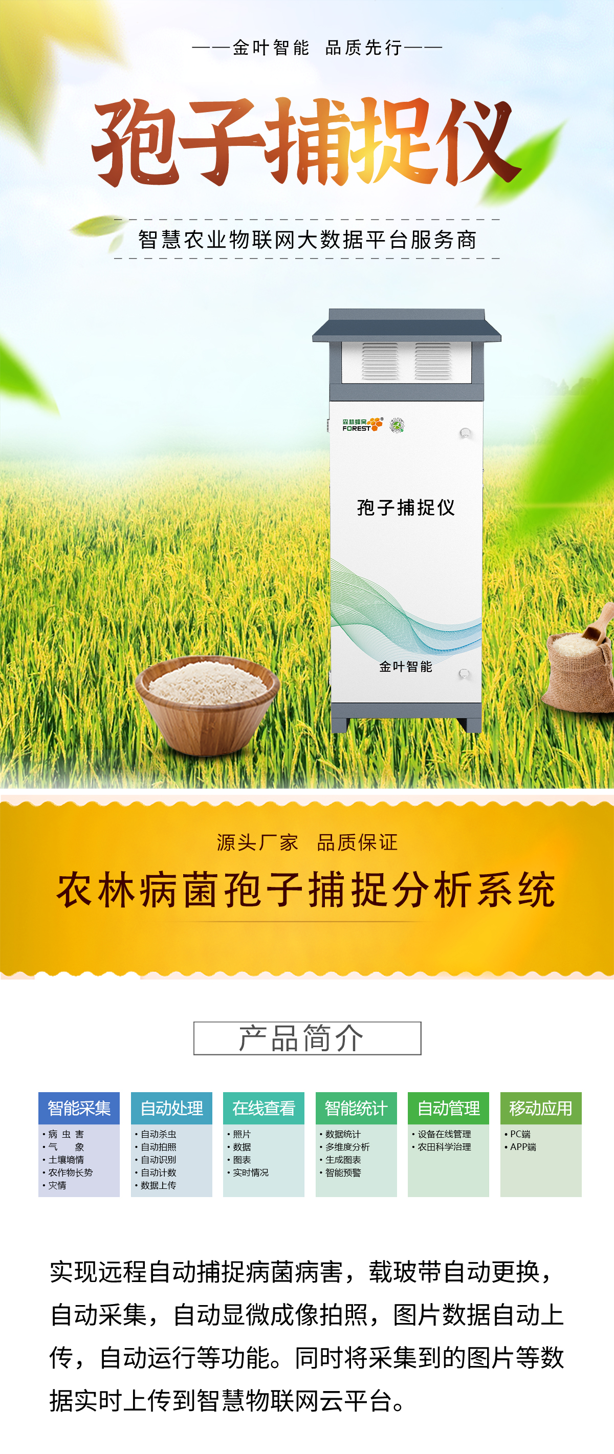 1761201085149575.jpg b_01.jpg